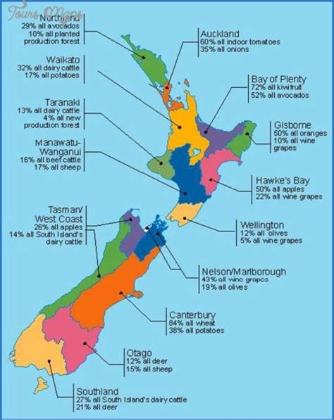 new zealand city list